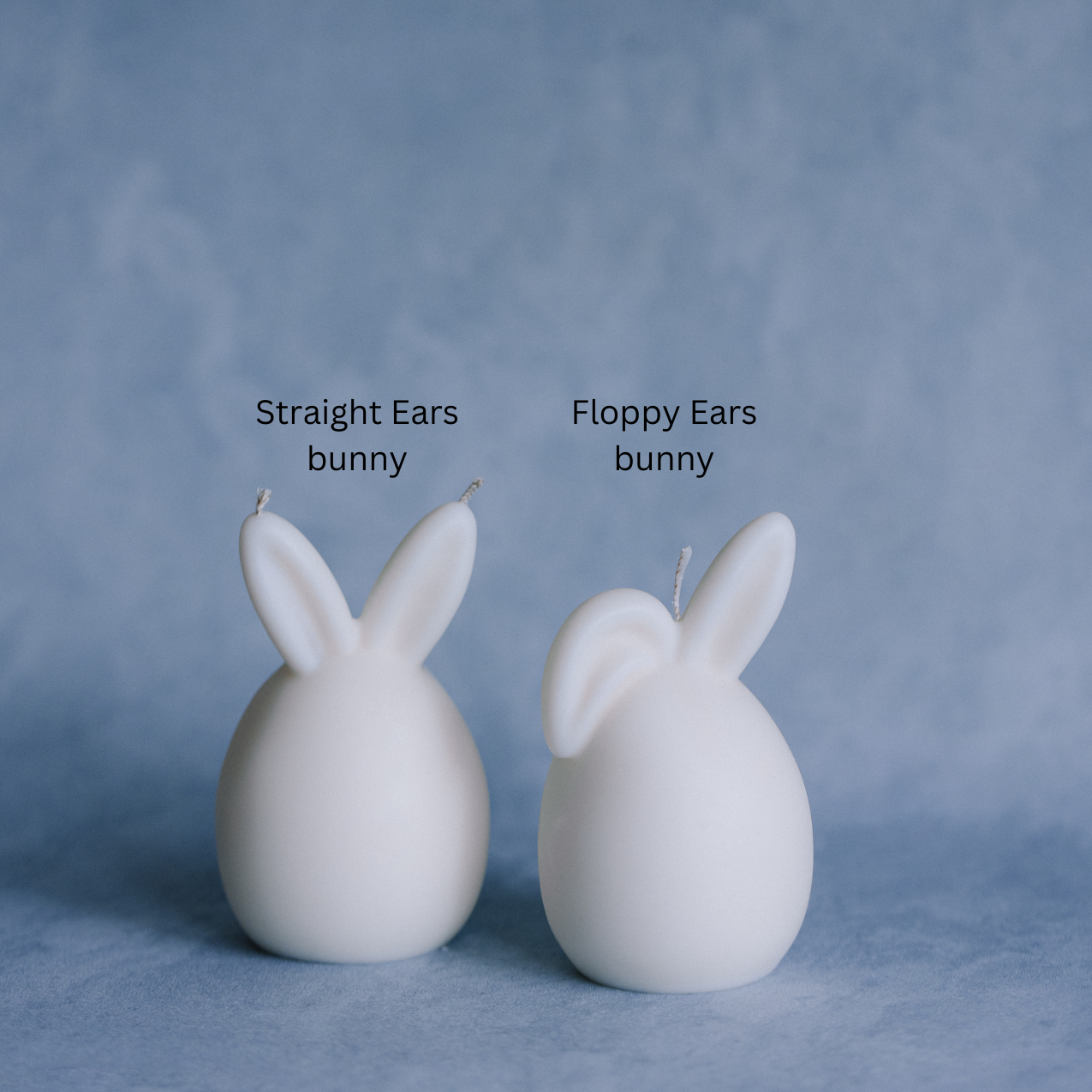 Classic Easter Bunny egg